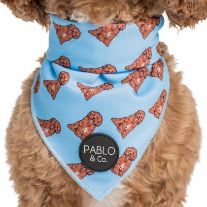 Cavoodle – Dog Bandana Accessories