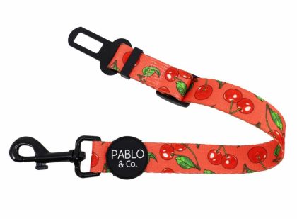 Cherry: Adjustable Car Restraint Car Restraints