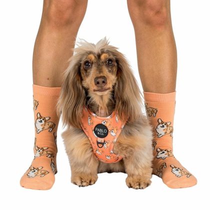 Corgi: Breed Socks Accessories