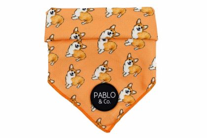 Corgi – Dog Bandana Accessories