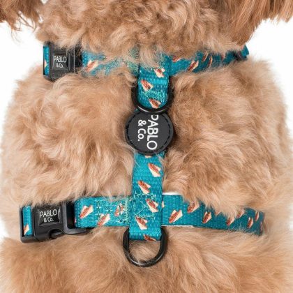 Dog Strap Harness: Sausage Sizzle Final Sale. No Returns. Dogs