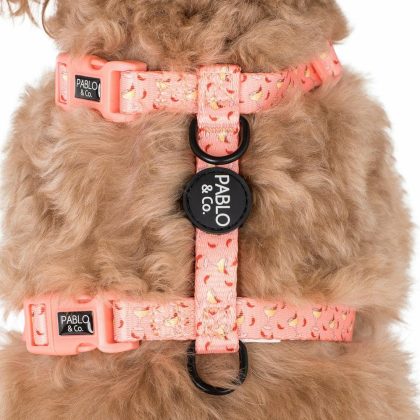 Dog Strap Harness: Spicy Margarita Final Sale. No Returns. Dogs