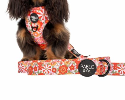 Flowers In The Field: Dog Leash Dogs