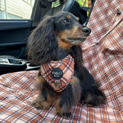 Kensington: Deluxe Single Car Seat Cover Dogs