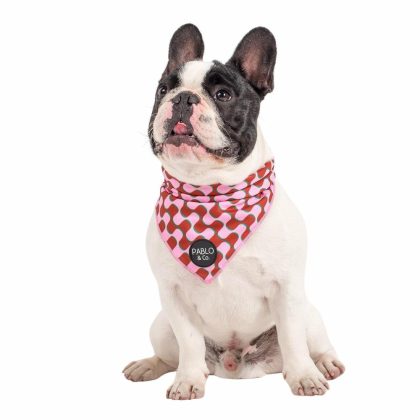 Mod Madness – Dog Bandana Accessories