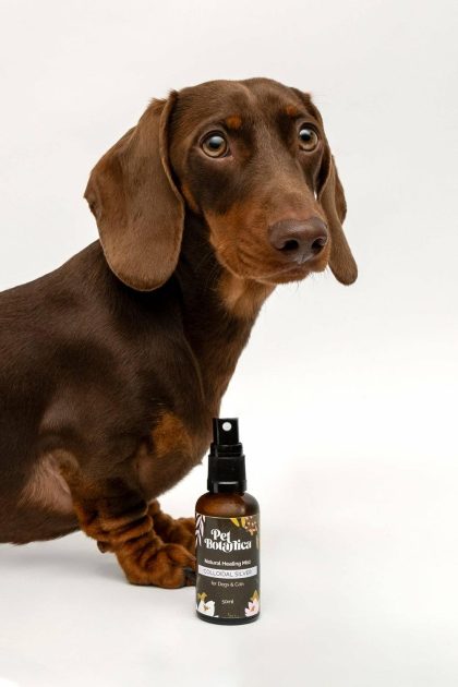 Pet Botanica: Colloidal Silver Healing Mist Dogs