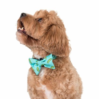 Pickles: Bow Tie Final Sale. No Return Accessories